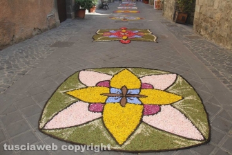 Bolsena - L'infiorata dagli ultimi ritocchi all'effetto finale