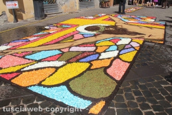 Bolsena - L'infiorata dagli ultimi ritocchi all'effetto finale