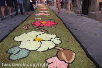 Bolsena - L'infiorata dagli ultimi ritocchi all'effetto finale