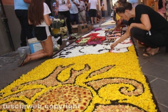 Bolsena - L'infiorata dagli ultimi ritocchi all'effetto finale