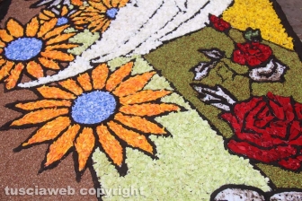 Bolsena - L'infiorata dagli ultimi ritocchi all'effetto finale