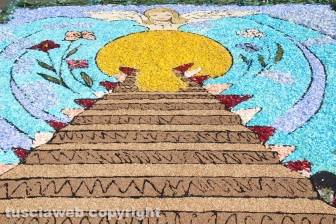 Bolsena - L'infiorata dagli ultimi ritocchi all'effetto finale