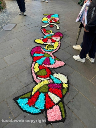 Bolsena - L'infiorata