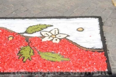 L\'infiorata del Corpus Domini