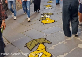 Bolsena - L'infiorata del Corpus domini