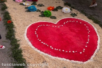 Civita Castellana - L'infiorata