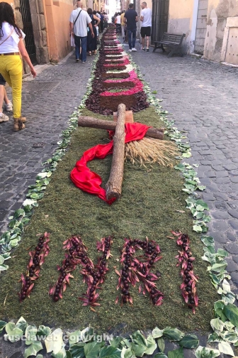 Civita Castellana - L'infiorata