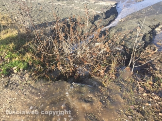 Sversamento di liquami nel lago di Bolsena - Le foto di Paolo Romano