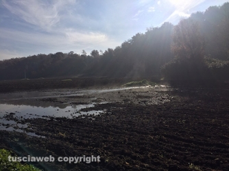 Sversamento di liquami nel lago di Bolsena - Le foto di Paolo Romano