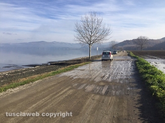 Sversamento di liquami nel lago di Bolsena - Le foto di Paolo Romano