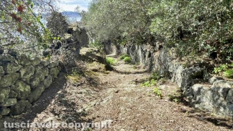 L'isola Martana