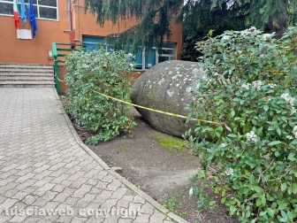 L'istituto scolastico Canevari