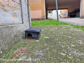 L'istituto scolastico Canevari