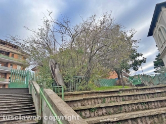 L'istituto scolastico Canevari