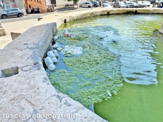 Viterbo - Lo stato vergognoso in cui è ridotta la fontana di piazza della Rocca
