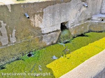 Viterbo - Lo stato vergognoso in cui è ridotta la fontana di piazza della Rocca
