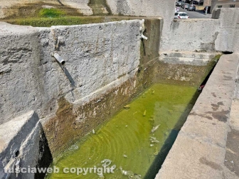Viterbo - Lo stato vergognoso in cui è ridotta la fontana di piazza della Rocca