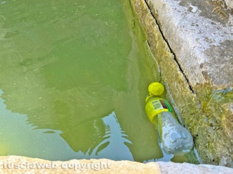 Viterbo - Lo stato vergognoso in cui è ridotta la fontana di piazza della Rocca