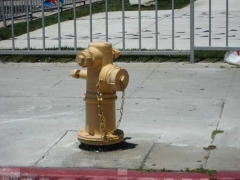 Vedute di Los Angeles