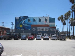 Vedute di Los Angeles