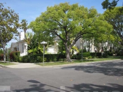 Vedute di Los Angeles
