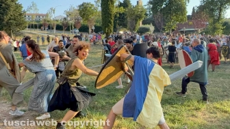 Ludika - La battaglia campale