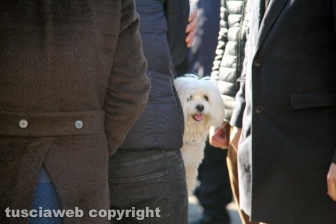 L'ultimo saluto al brigadiere Massimo Franceschini