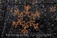 L\'albero di Natale di Viterbo