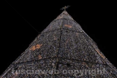 L\'albero di Natale di Viterbo