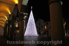 L\'albero di Natale di Viterbo