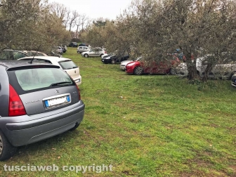 Lunghe file ai seggi