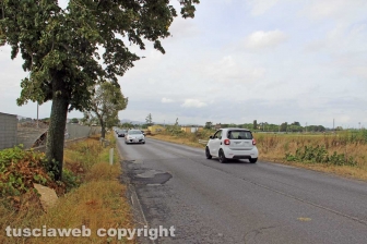 Lungo la Cassia nord