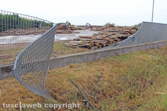 Lungo la Cassia nord