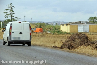 Lungo la Cassia nord