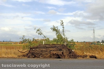 Lungo la Cassia nord