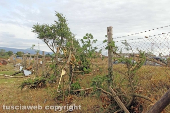 Lungo la Cassia nord