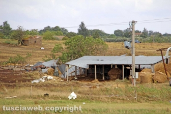 Lungo la Cassia nord