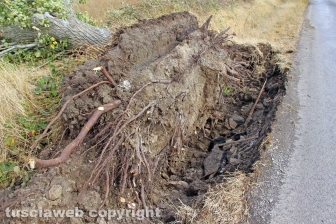 Lungo la Cassia nord