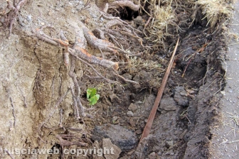 Lungo la Cassia nord