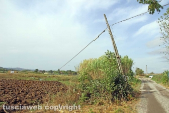 Lungo la Cassia nord