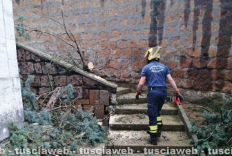 Civita Castellana - Albero pericolante al Cimitero