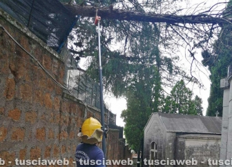 Civita Castellana - Albero pericolante al Cimitero