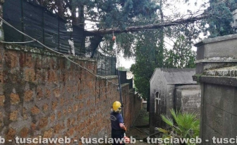 Civita Castellana - Albero pericolante al Cimitero