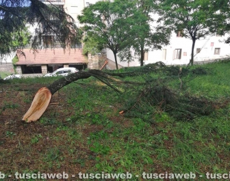 Maltempo a Civita Castellana