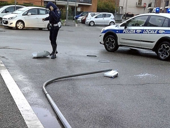 Viterbo - Palo caduto in via Ioppi