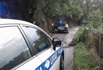 Maltempo - Albero crollato a San Martino al Cimino