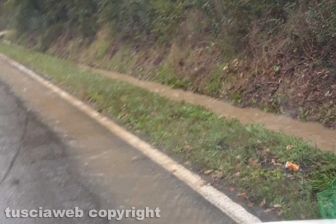 Viterbo - Strada Teverina