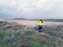 Maltempo, danni e disagi a Tarquinia