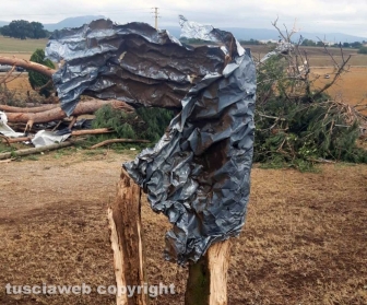 Maltempo - Tromba d'aria - I danni in zona Rinaldone