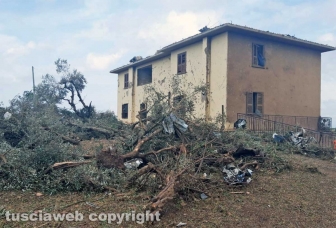 Maltempo - Tromba d'aria - I danni in zona Rinaldone